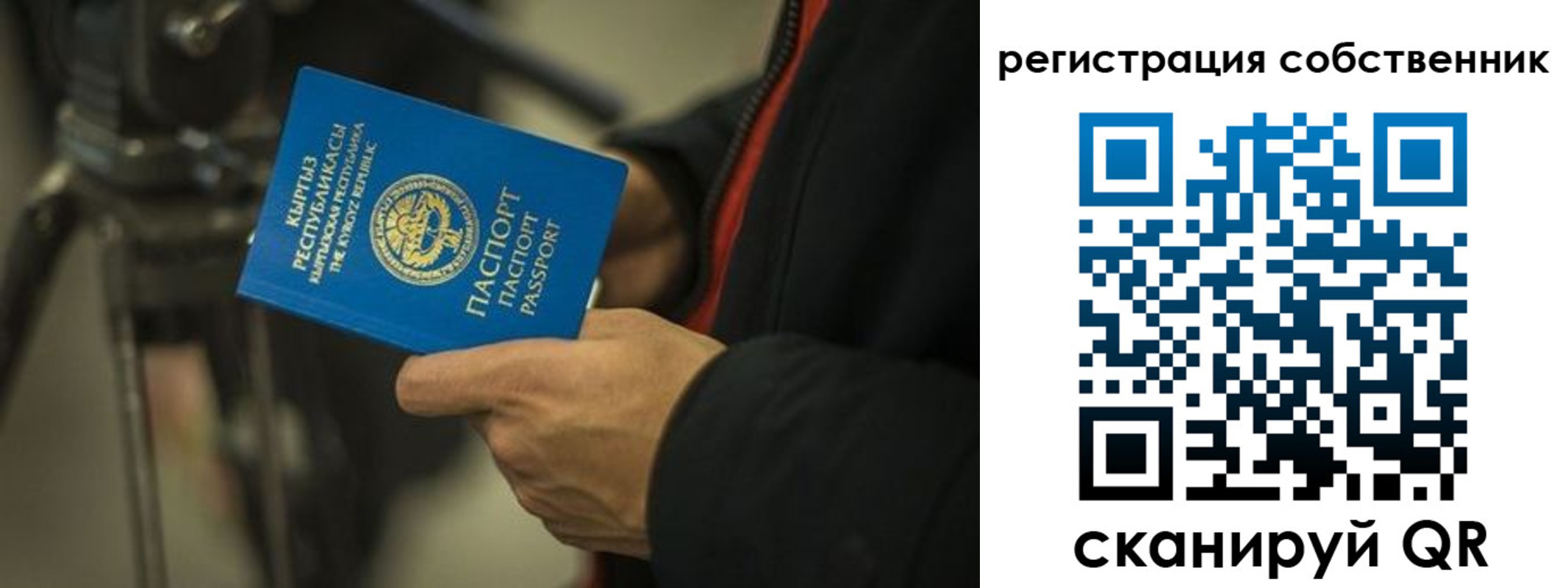 временная регистрация поиск в Павлово
